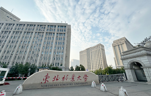東北林業(yè)大學科研樓/物理樓