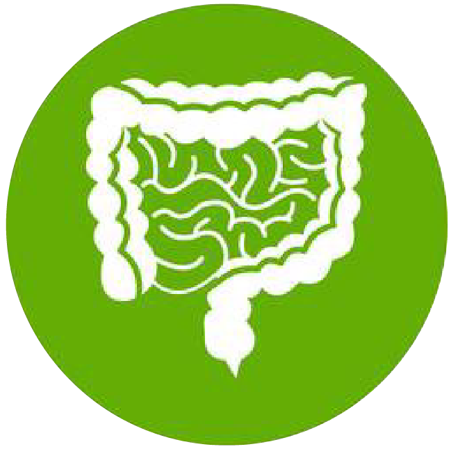 關(guān)注職場(chǎng)“腸”態(tài)，守護(hù)員工健康——上海格瑞特特邀消化內(nèi)科專家公益系列講座（4）(圖1)