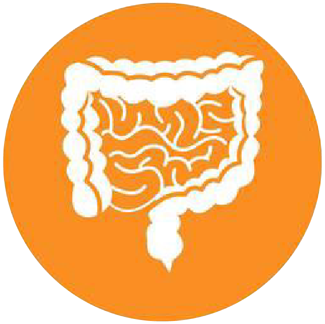 關(guān)注職場(chǎng)“腸”態(tài)，守護(hù)員工健康——上海格瑞特特邀消化內(nèi)科專家公益系列講座（4）(圖4)
